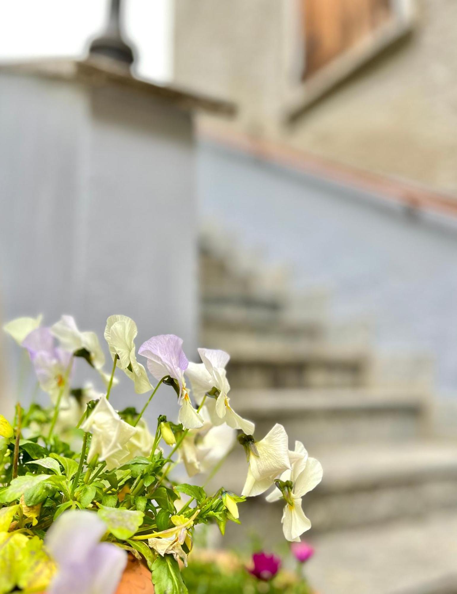 Grandola ed Uniti Agriturismo La Vecchia Chioderia מראה חיצוני תמונה