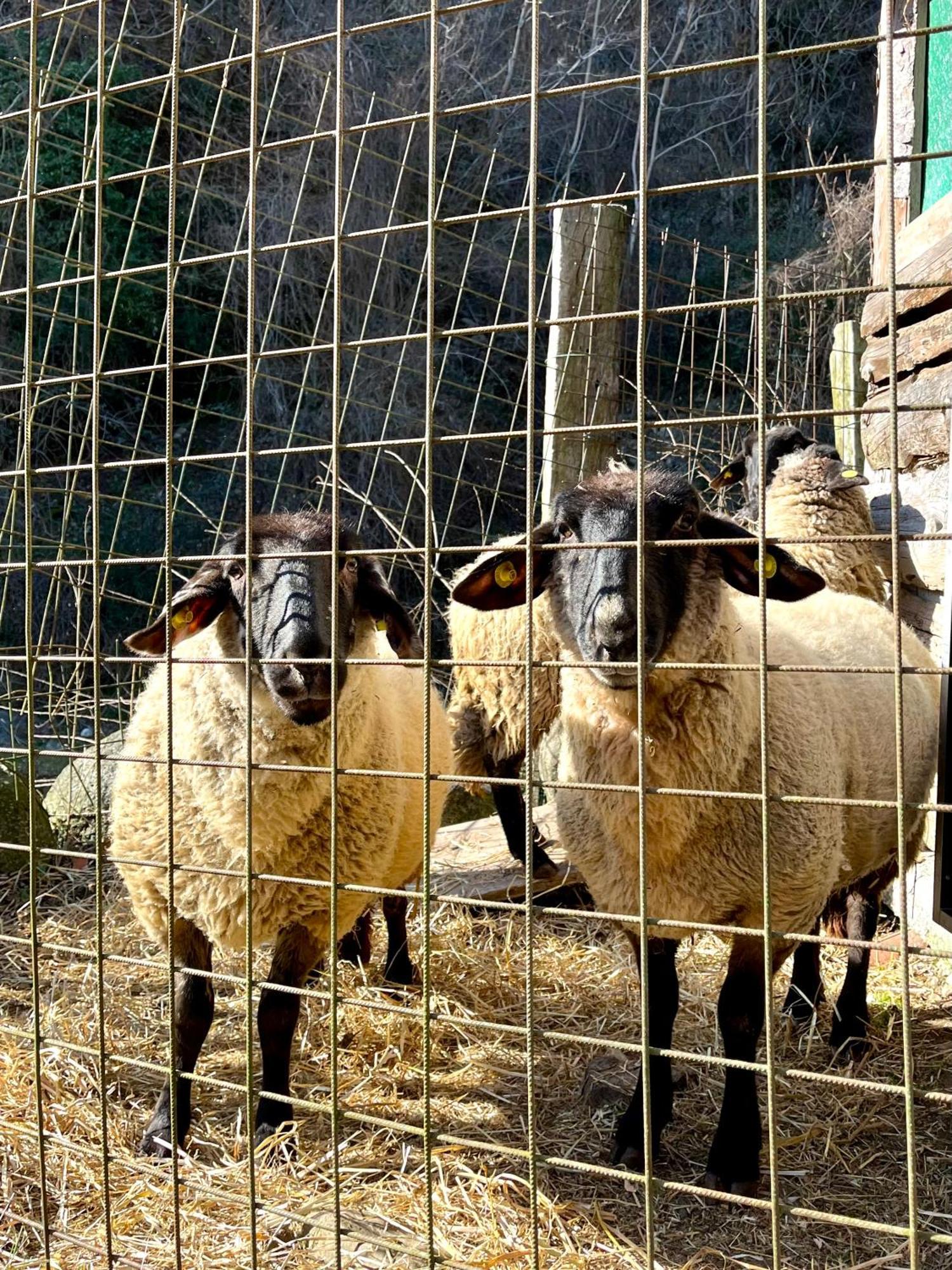 Grandola ed Uniti Agriturismo La Vecchia Chioderia מראה חיצוני תמונה