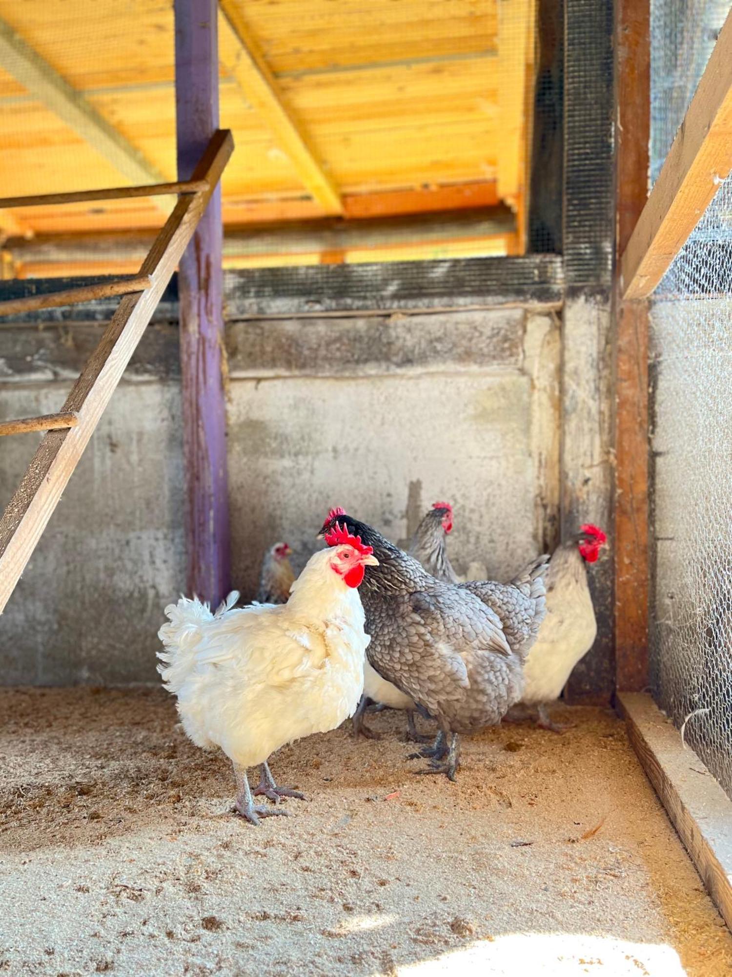 Grandola ed Uniti Agriturismo La Vecchia Chioderia מראה חיצוני תמונה