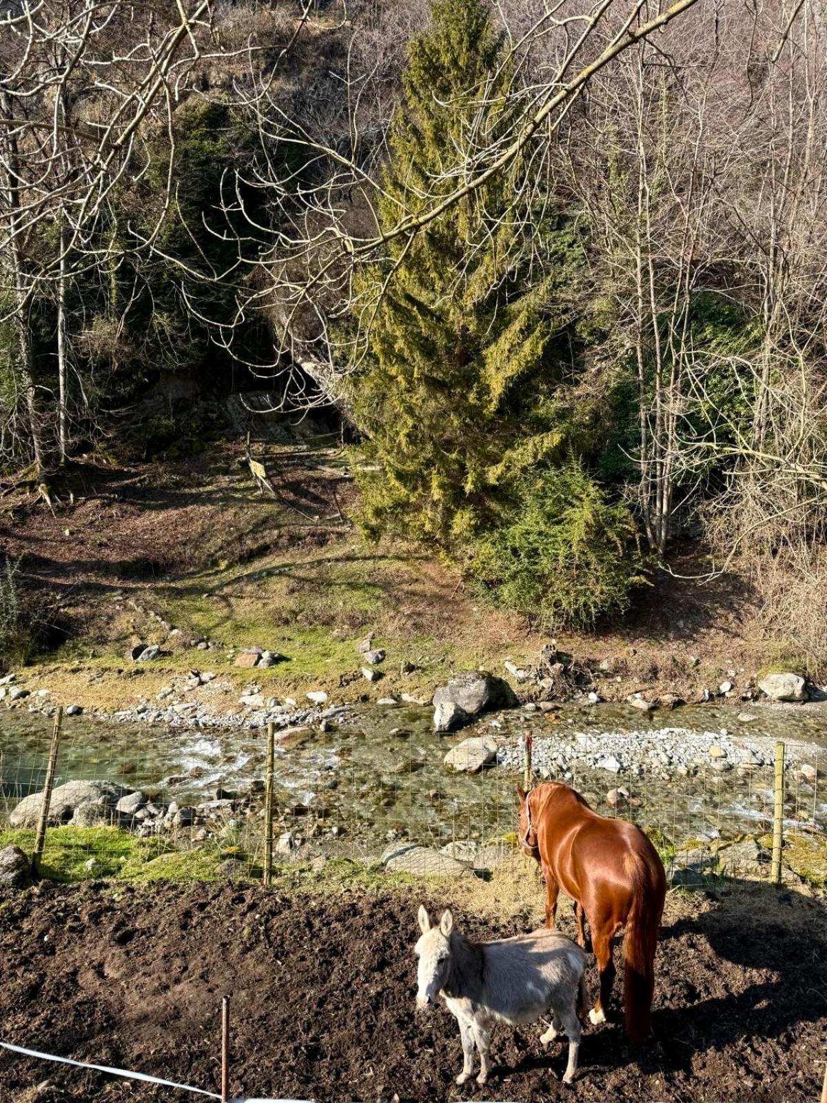 Grandola ed Uniti Agriturismo La Vecchia Chioderia מראה חיצוני תמונה