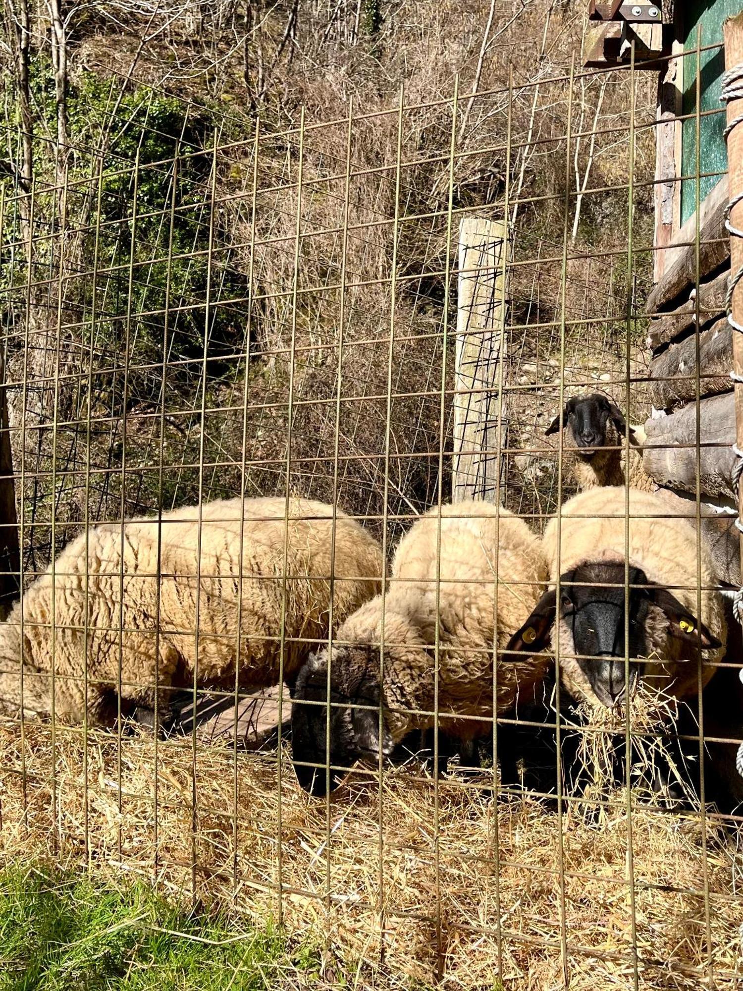 Grandola ed Uniti Agriturismo La Vecchia Chioderia מראה חיצוני תמונה