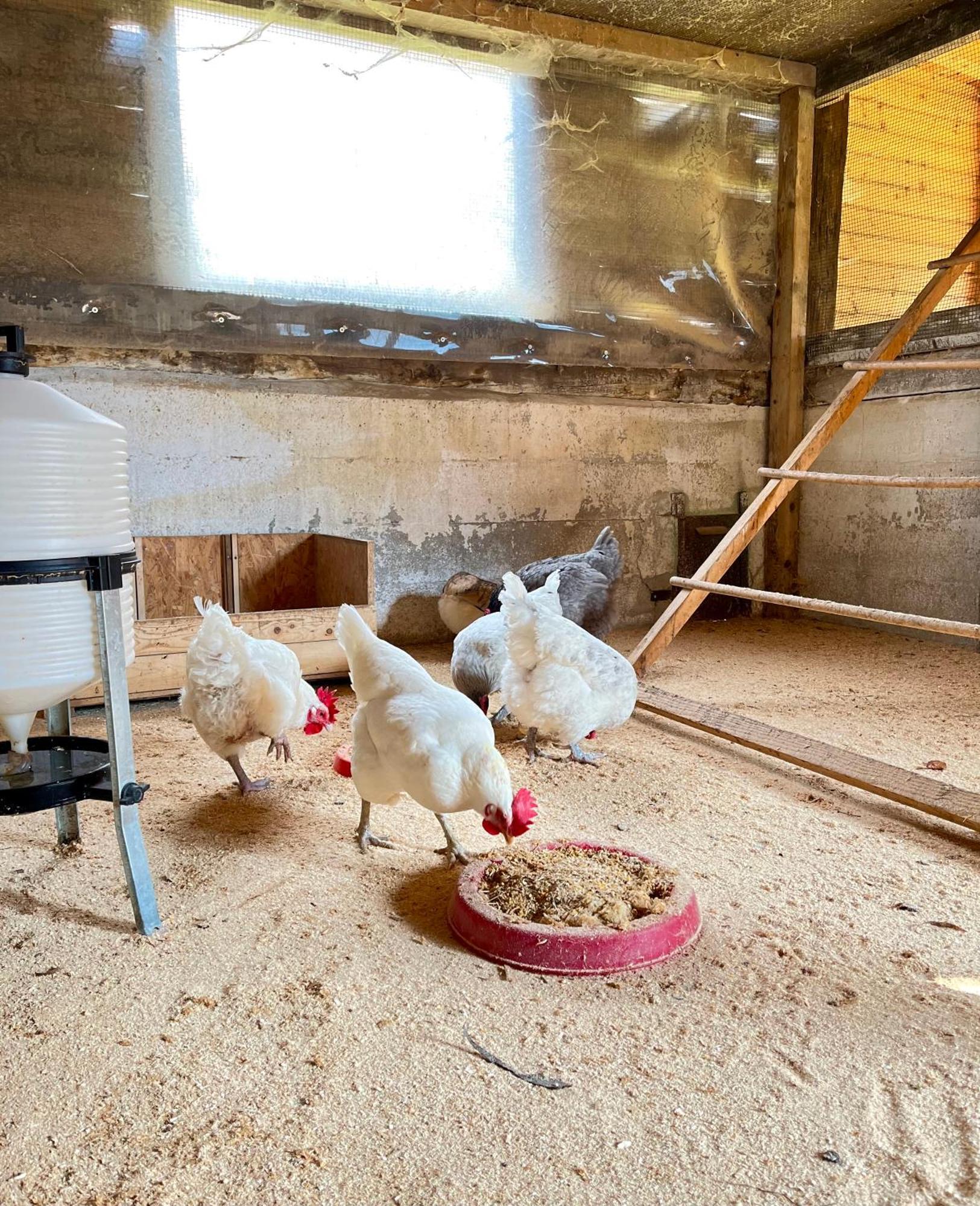 Grandola ed Uniti Agriturismo La Vecchia Chioderia מראה חיצוני תמונה